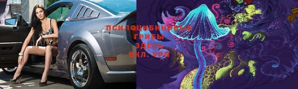 mdpv Бугульма
