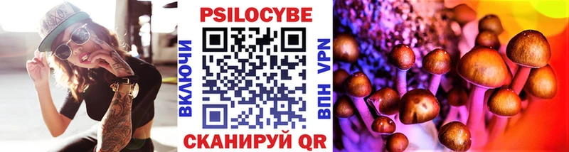 купить наркотик Дагестанские Огни Галлюциногенные грибы Magic Shrooms