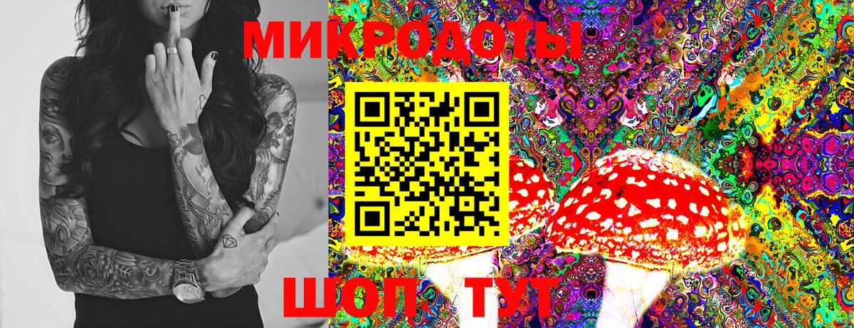 Галлюциногенные грибы мухоморы  Псилоцибиновые грибы прущие грибы  Дагестанские Огни  Вход с VPN 