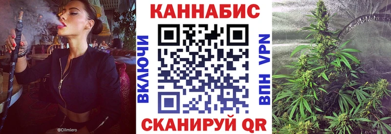 Конопля SATIVA & INDICA  Дагестанские Огни 